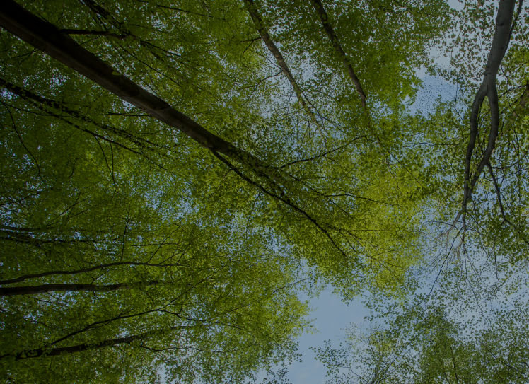 Vital Healthcare Property Trust owned Hospital